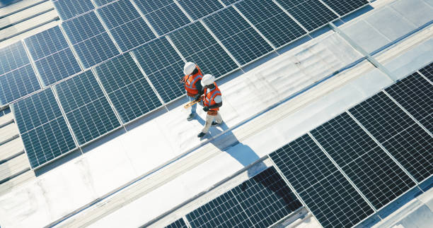 Best Roof Moss and Algae Removal  in Mineral Ridge, OH